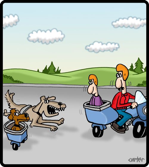 Motorbike with side car is chased by a dog with a side car.