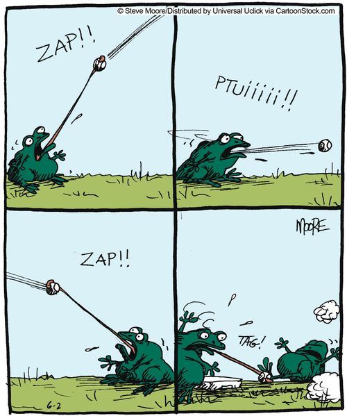 Frog and the Baseball.