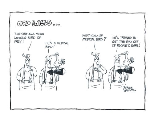 Medical Bird.
