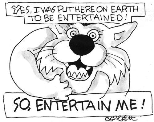 'Yes, I was put on earth to be entertained...SO ENTERTAIN ME!'