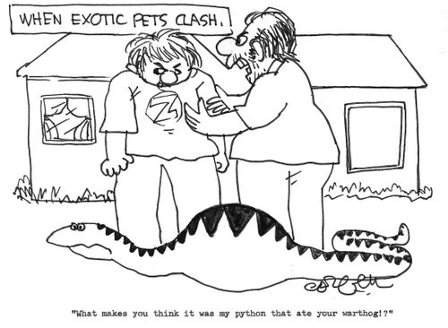 When exotic pets clash: 'What makes you think it was my python that ate your warthog!' 