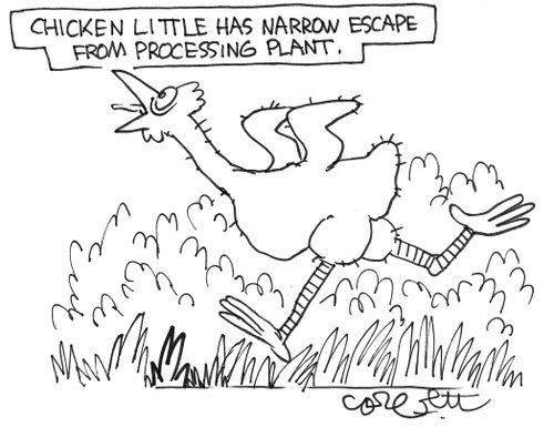 Chicken Little has narrow escape from processing plant, 