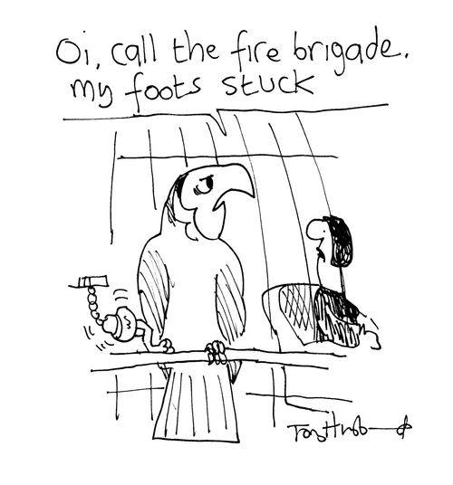 'Oi, call the fire brigade, my foot's stuck.'