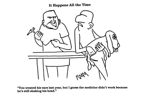 'You treated his ears last year, but I guess the medicine didn't work because he's still shaking his head!"