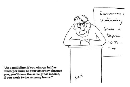 'As a guideline, if you charge half as much per hour as your attorney charges you, you'll earn the same gross income, if you work twice as many hours.'