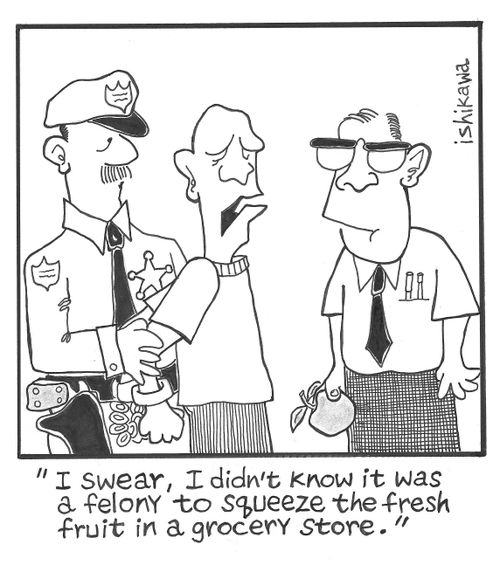'I swear, I didn't know it was a felony to squeeze the fresh fruit in a grocery store.'