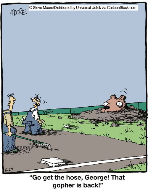 'Go get the hose, George! That gopher is back!'