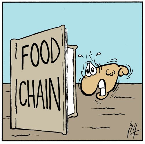 Food chain.