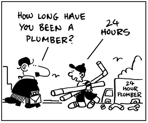 'How long have been a plumber?'