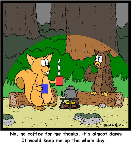 'No, no coffee for me thanks, it's almost dawn: It would keep me up the whole day...'
