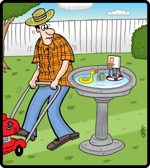 Bird bath pool toys.