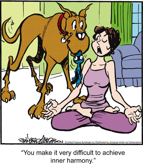 'You make it very difficult to achieve inner harmony.'