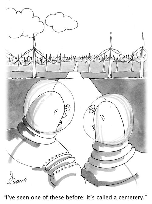 'I've seen one of these before; it's called a cemetery.'
