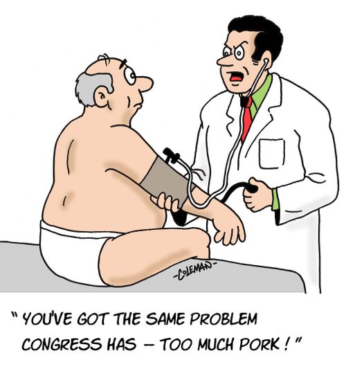 'You've got the same problem congress has -- too much pork!'