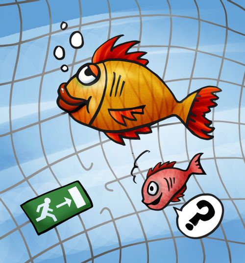 Fish Exit.