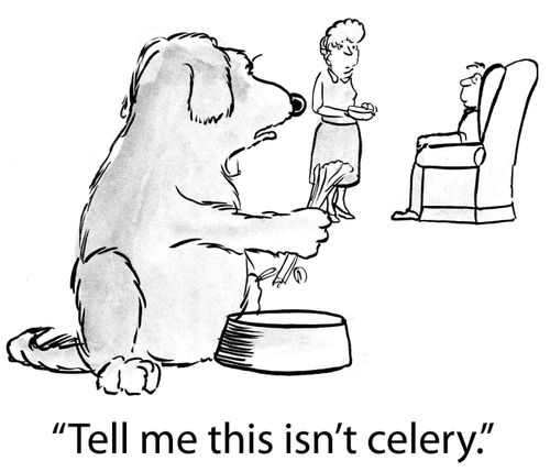 'Tell me this isn't celery.'