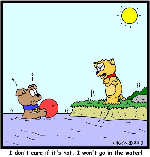 'I don't care if it's hot, I won't go in the water!'