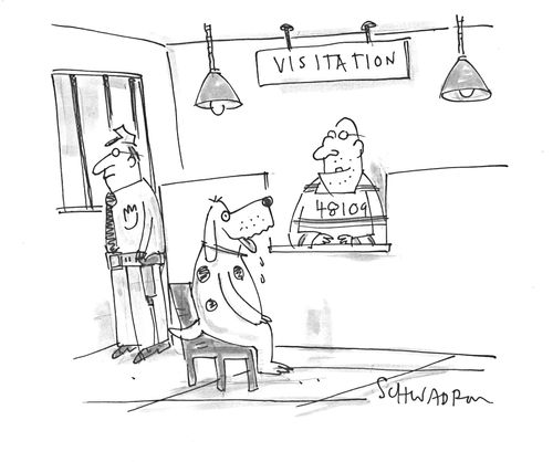 Prison Visitors.