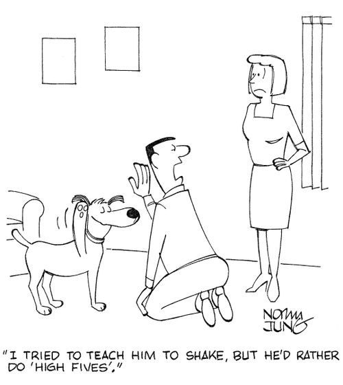 'I tried to teach him to shake, but he'd rather do 'high fives'.'