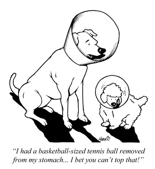'I had a basketball-sized tennis ball removed from my stomach... I bet you can't top that!'