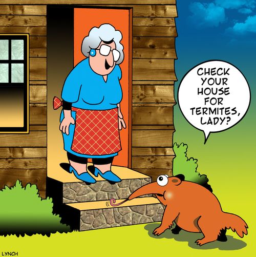 'Check you house for termites, Lady?'