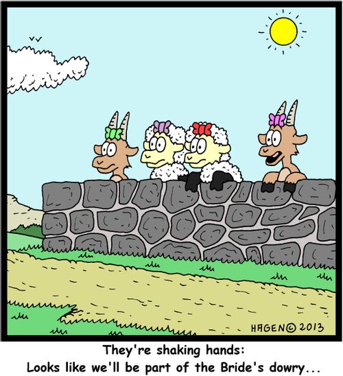 'They're shaking hands: Looks like we'll be part of the Bride's dowry...'