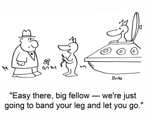 'Easy there, big fellow -- we're just going to band your leg and let you go.'