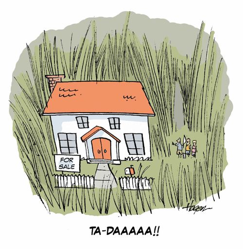 'TA-DAAAAA!!'