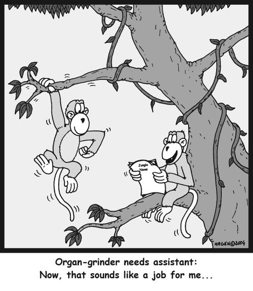 Organ-grinder needs assistant: Now, that sounds like a job for me...
