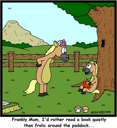 'Frankly Mum, I'd rather read a book quietly than frolic around the paddock...'
