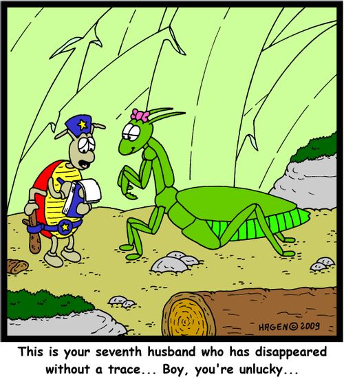 'This is your seventh husband who has disappeared without a trace... Boy, you're unlucky...'