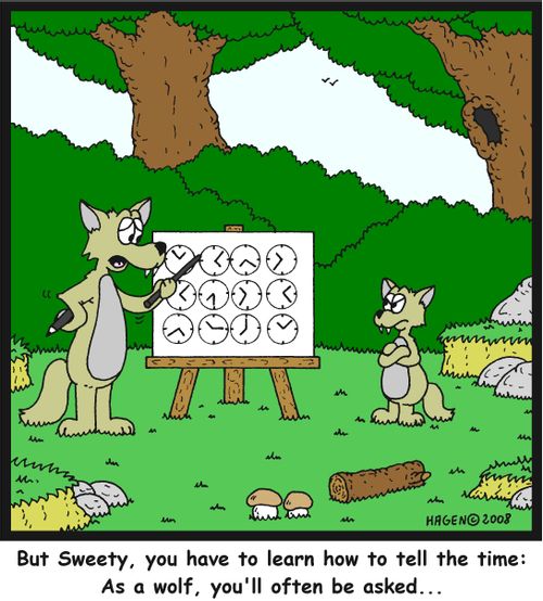 'But Sweety, you have to learn how to tell the time: As a wolf, you'll often be asked...'