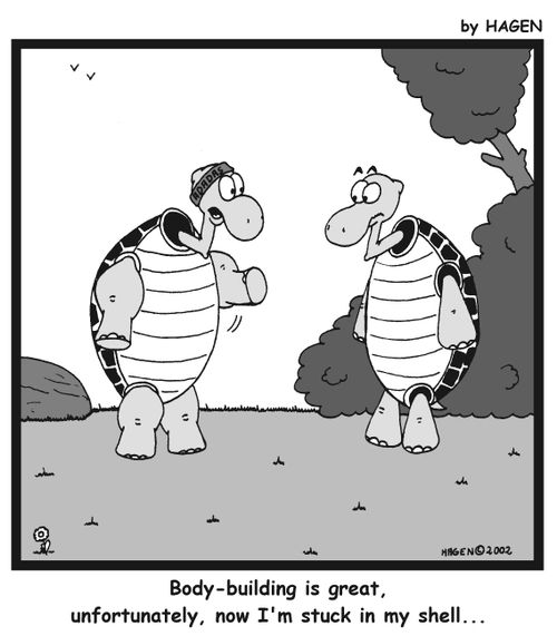 'Body-building is great, unfortunately, now I'm stuck in my shell...'