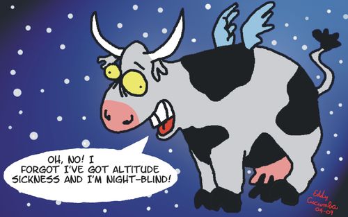 The art of Eddy Cucumba: flying cow at night.