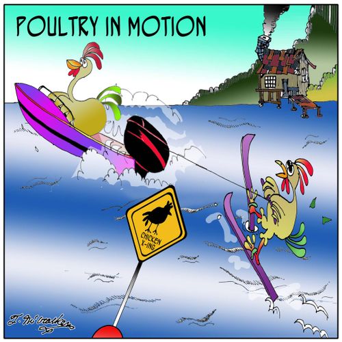 Poultry in Motion