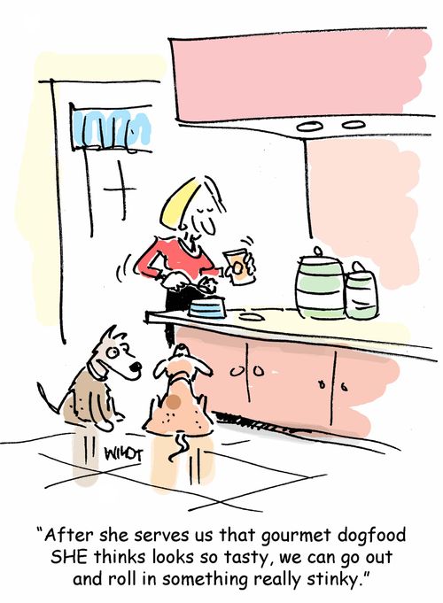 'After she serves us that gourmet dogfood she thinks looks so tasty, we can go out and roll in something really stinky.'