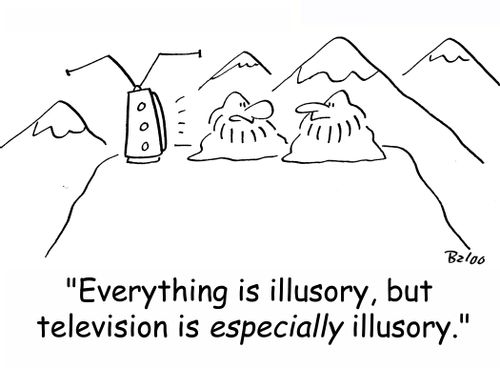'Everything is illusory, but television is ESPECIALLY illusory.'