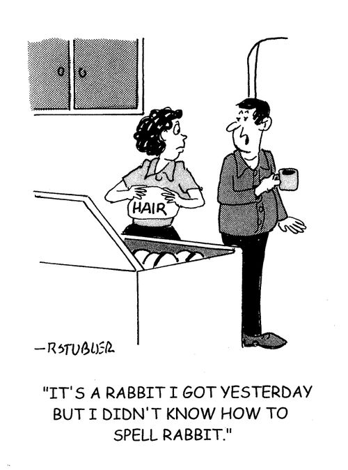 'It's a rabbit I got yesterday but I didn't know how to spell rabbit.'