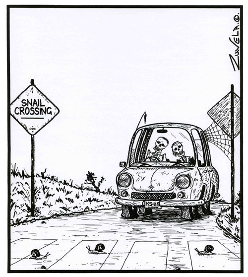 Snail Crossing - Two skeletons in the car.