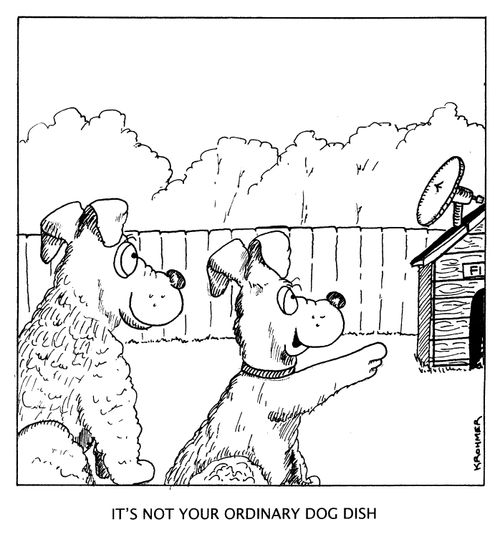 'It's not your ordinary dog dish.'