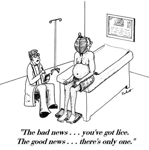 'The bad news . . . you've got lice.The good news . . . there's only one.'