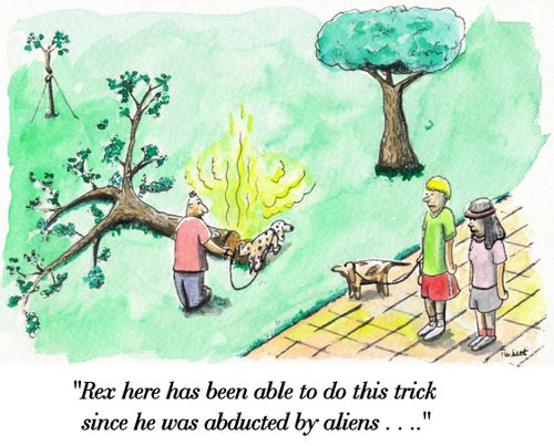 Dog pees on tree felling it . ..