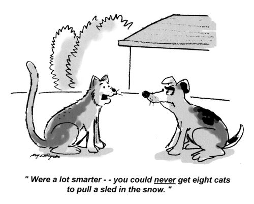 'Were a lot smarter - You could never get eight cats to pull a sled in the snow.'
