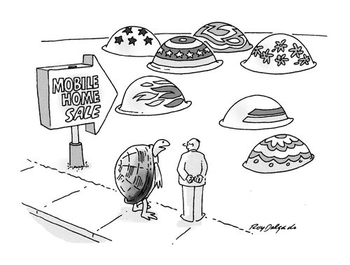 Tortoise at mobile home sale.