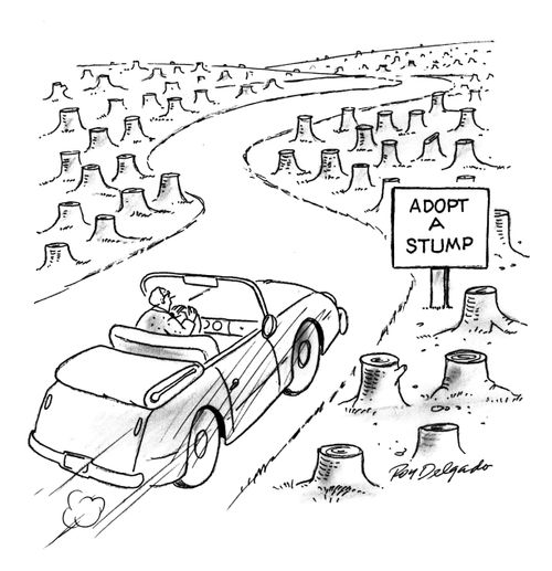 Adopt a stump.