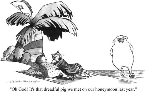'Oh God! It's that dreadful pig we met on our honeymoon last year.'