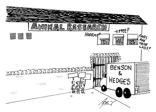 Cigarettes arriving at Animal Research Centre - Hooray!