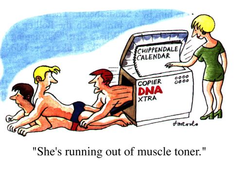 Photocopying a chippendale calender - "She's running our of muscle toner."