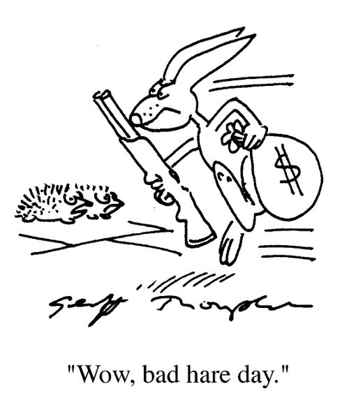 Bad Hare Day