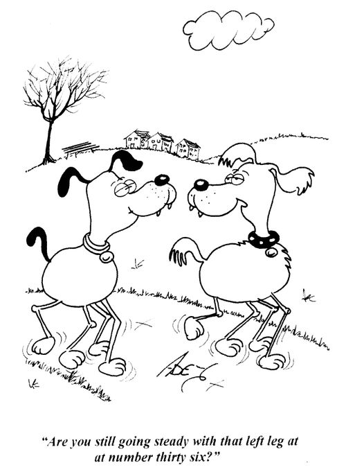 'Are you still going steady with that left leg at number thirty six?'